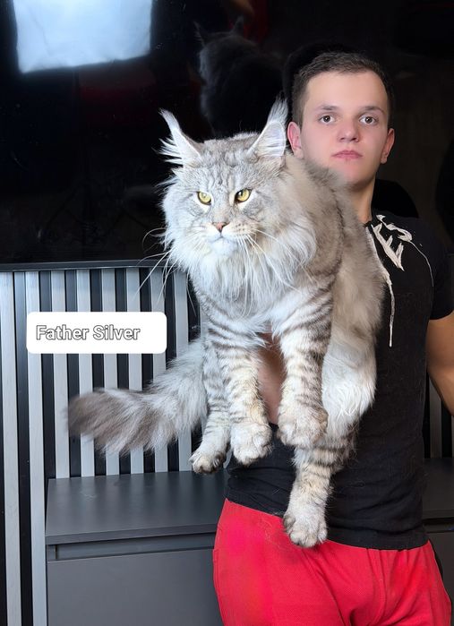 Хлопчик Гепард шоу класу