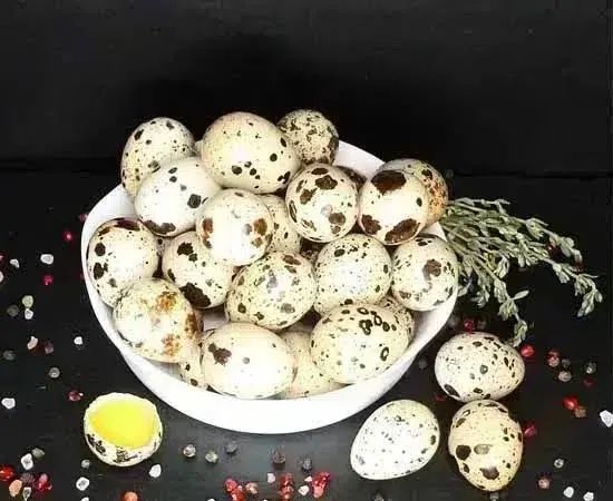 Яйце інкубаційне перепелів