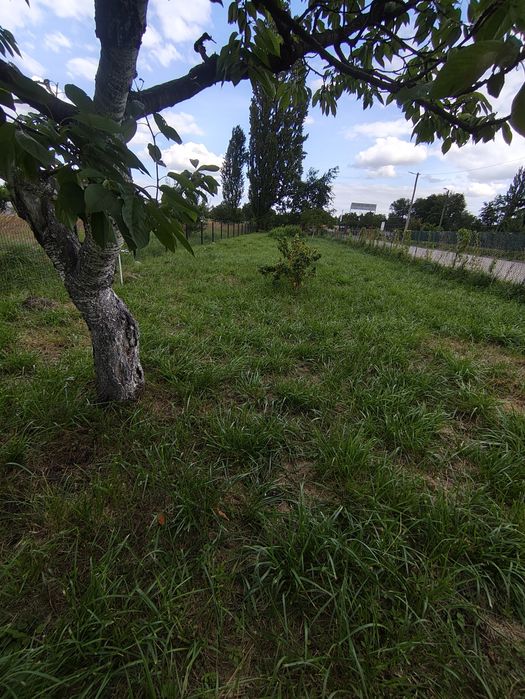 Sprzedam Działka rod rekreacyjna