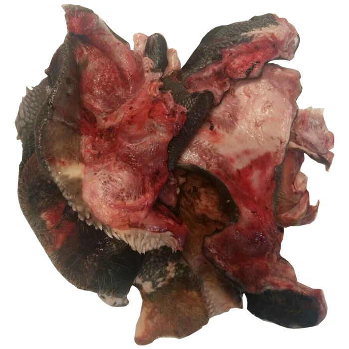 Яловичі носи - натуральний КОРМ ДЛЯ СОБАК. Доставка по Україні