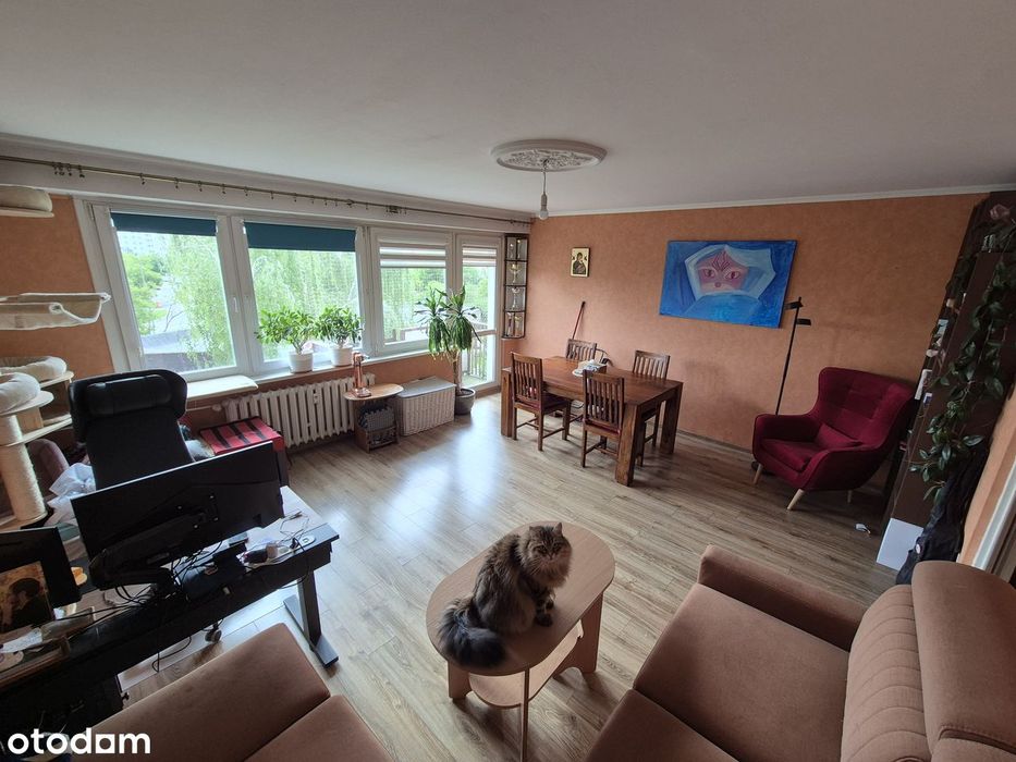 60 m² | 3 pokoje | balkon | piwnica | Rubinkowo II | ul. Dziewulskiego - Widok 2