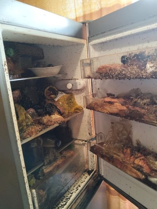 Пропоную вам свої послуги з кліненгу!!