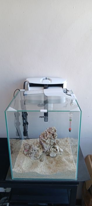Aquario nano reef aquael 49litros Último preço
