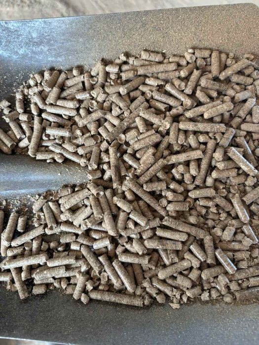 Пелета з деревини твердих порід