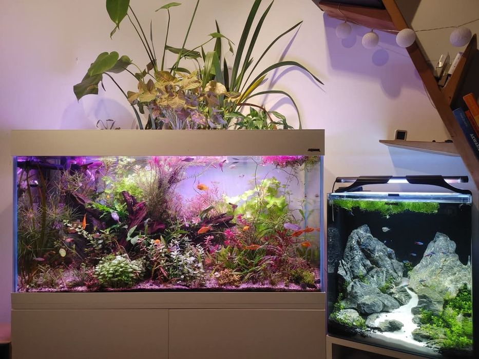 Akwarium Opti set 200