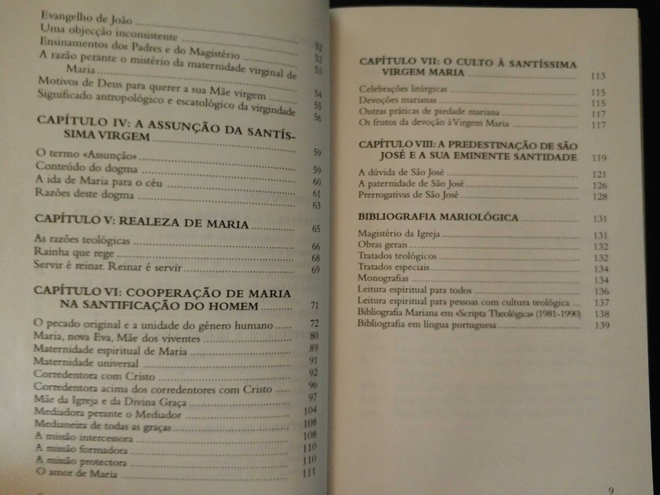 Mãe de Deus e a nossa Mãe. Iniciação Mariológica