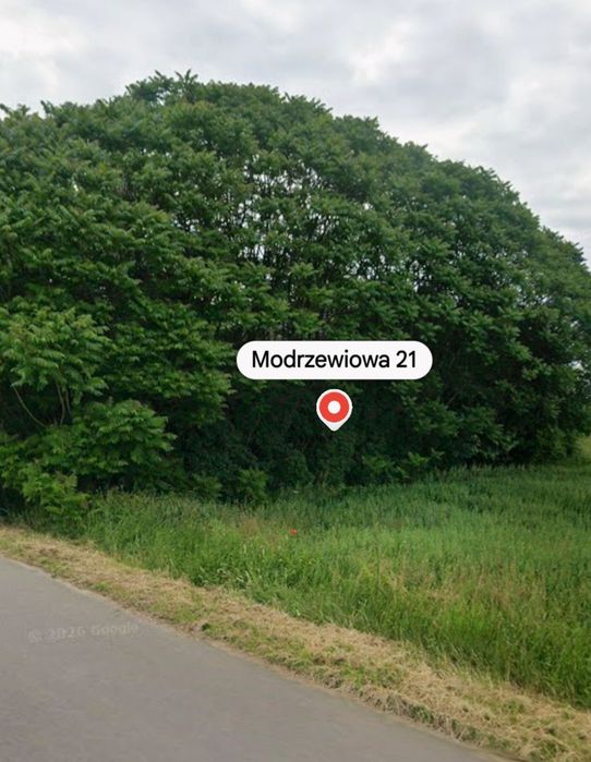 Działka budowlana + rolna 10100 m² - Widok 2