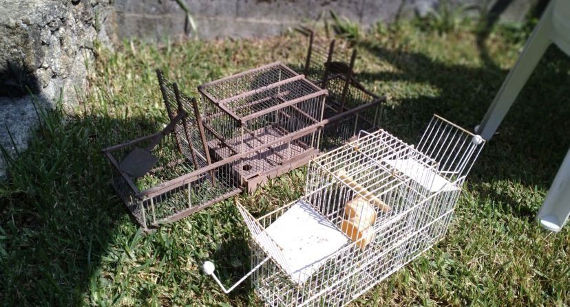 2 Gaiolas Artesanais para Armar