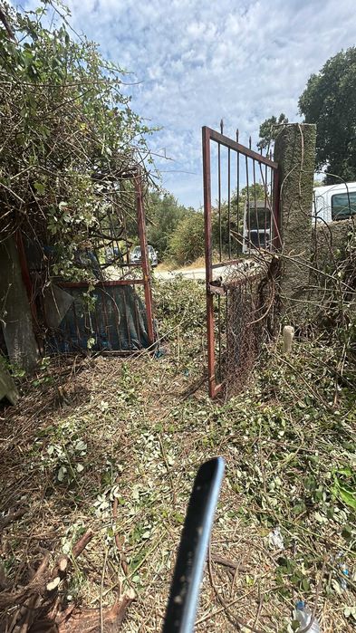 limpeza de terreno