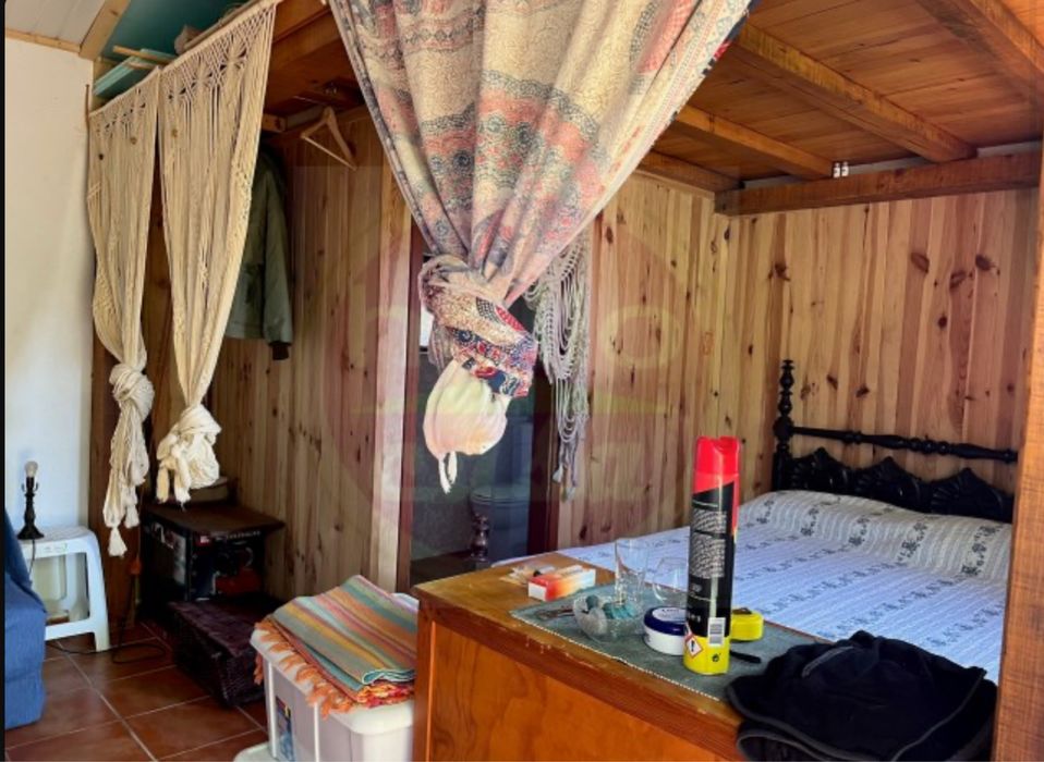 Terreno com vinha e pequeno imovel