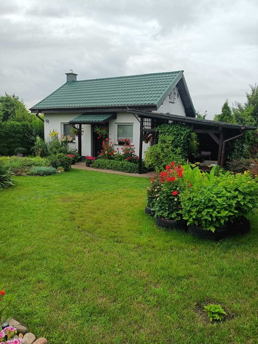 Działka rekreacyjna ROD Gorzycko koło Międzychodu