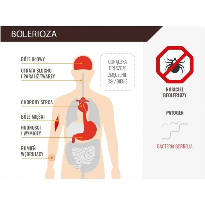 MUGGA sprawy na kleszcze i komary DEET 9,5% dla dzieci