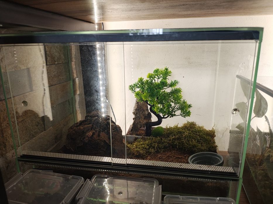 Terrarium 40x30x25