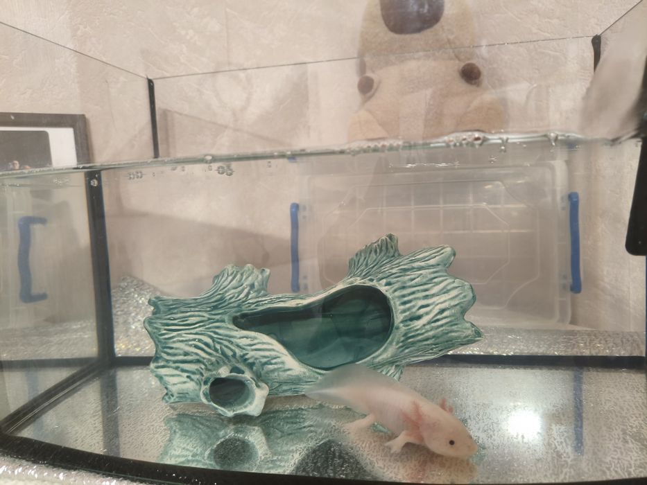 Продам акваріум+++