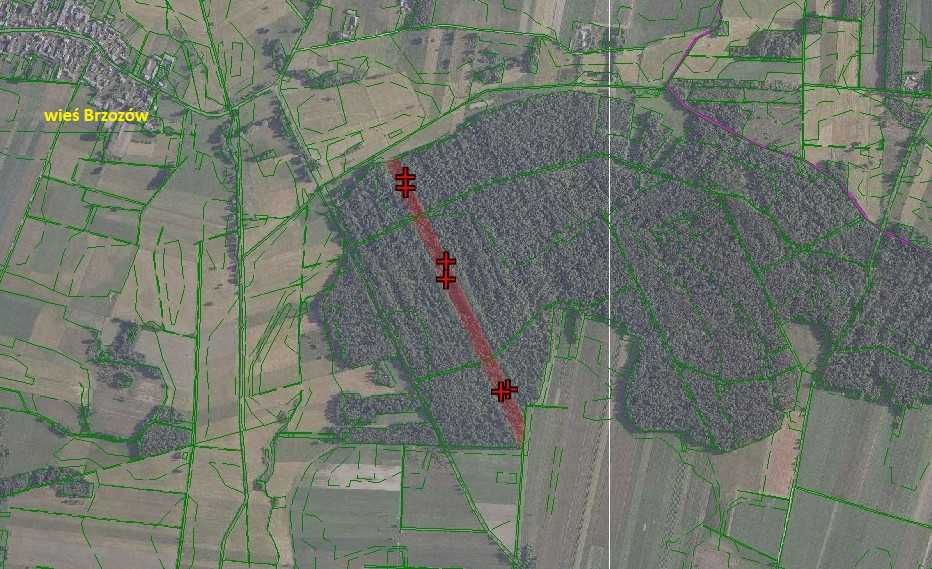 Las mieszany 3,63ha Brzozów, powiat siedlecki