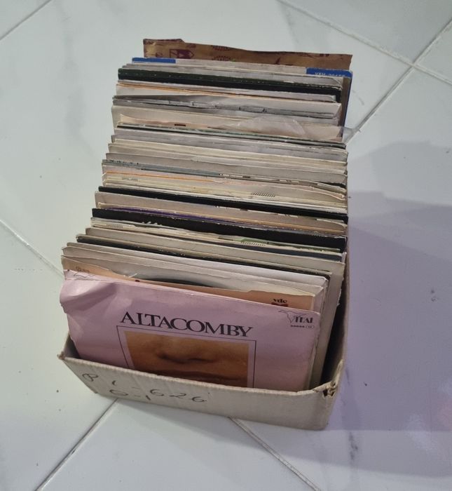 Lote Discos Vinil