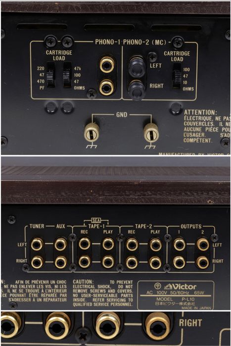 Усилитель двублочный Victor P L10 & M L10