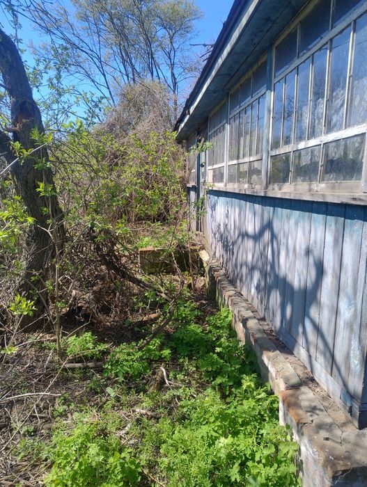 Продам будинок  в селі Чапліївка