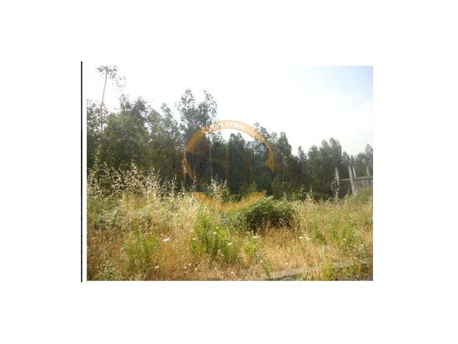 Terreno em Oliveira de Azeméis