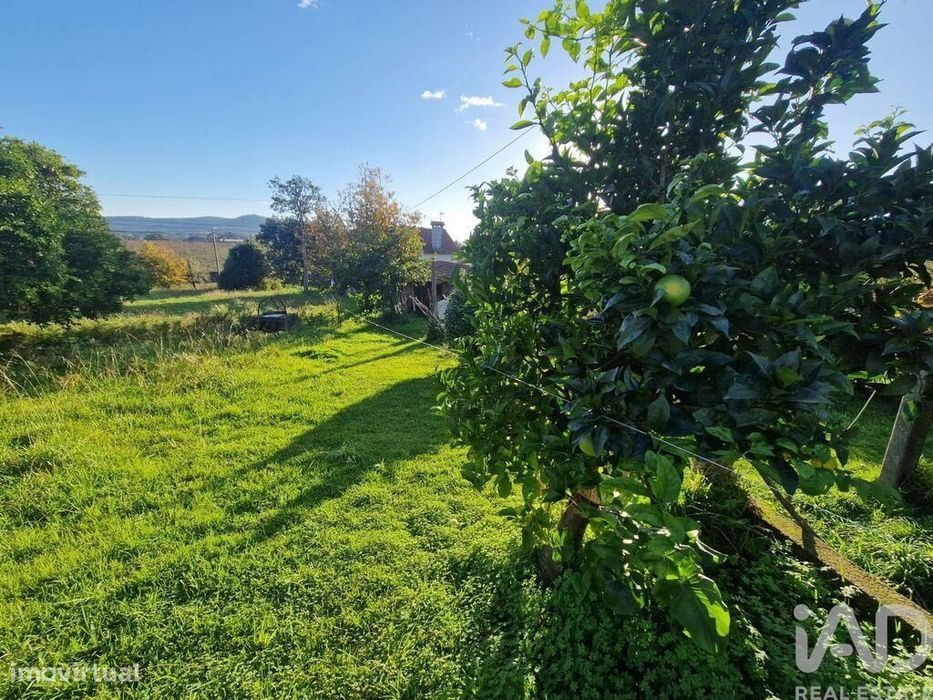 Terreno para construção em Torre e Vila Mou