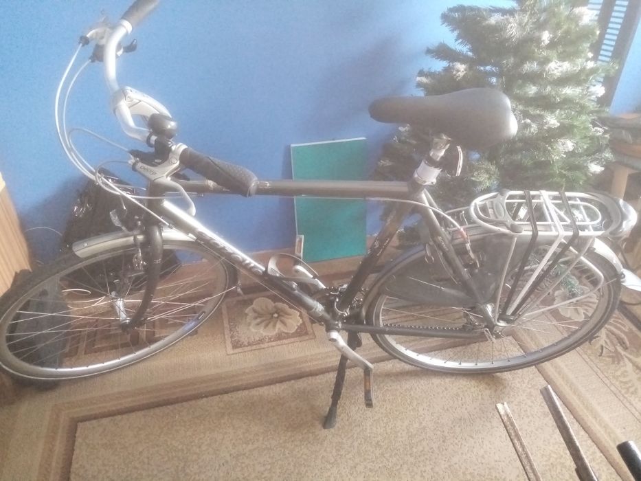 Rower męski gazelle medeo