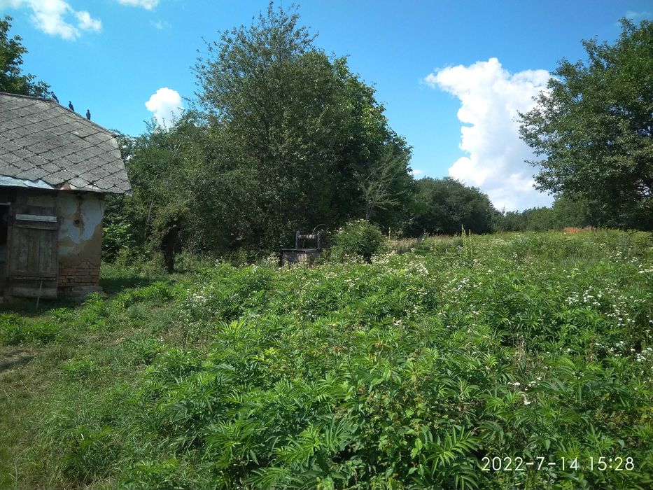 Продам земельну ділянку,с.Кобиловолоки,Тернопільського рну з будинком.