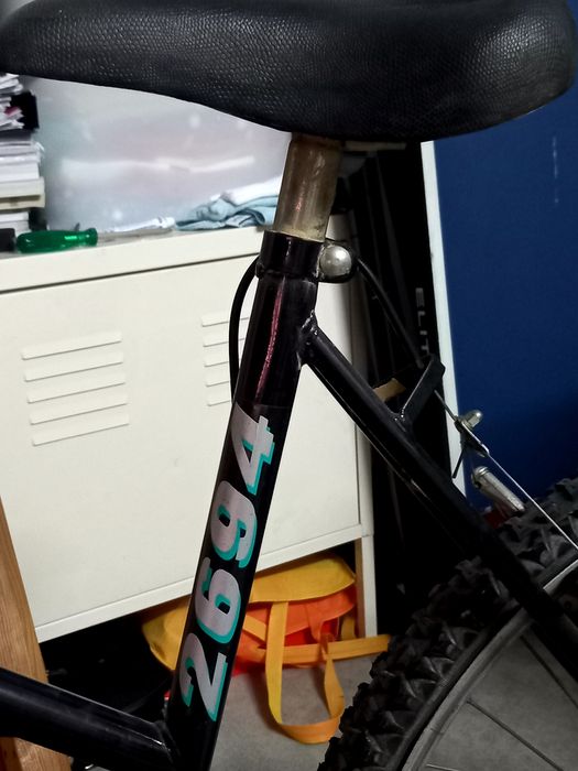 Bicicleta em bom estado, sénior.