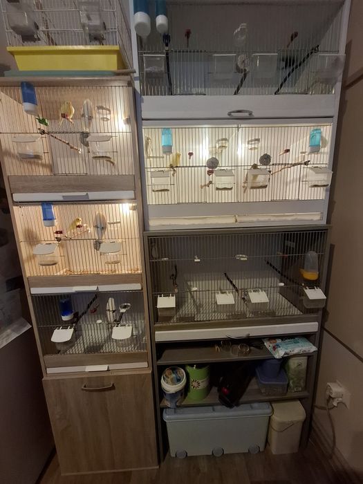 Trzy regały dla ptaków, akcesoria, karma