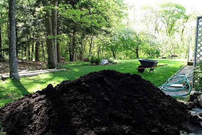 Пропонуємо родючий грунт (чорнозем) по хорошій ціні Київ та обл.