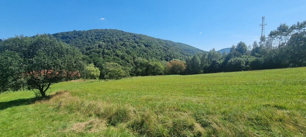 Działka budowlana 10 arów Uście Gorlickie - Widok 3