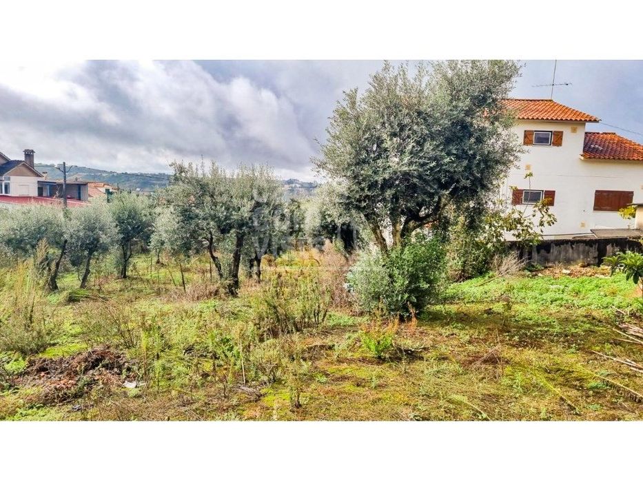 Terreno com Viabilidade de Construção - 456 m² | Próximo de Leiria
