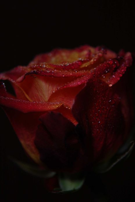 Nikon nikkor 24-85mm f/2.8-4 D Macro | Універсальний FX об'єктив