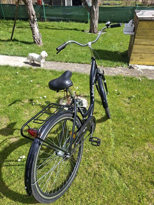 Rower miejski Indiana