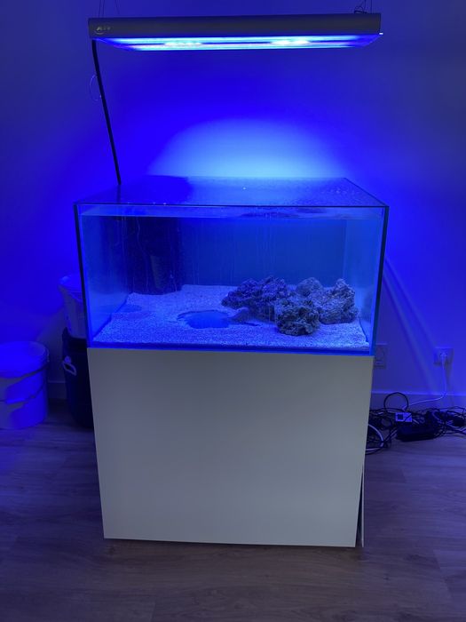 Reef Set 90 x 90