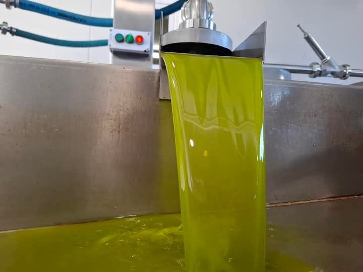 Oliwa z oliwek extra virgin Koroneika lub Manaki kwasowość 0.2