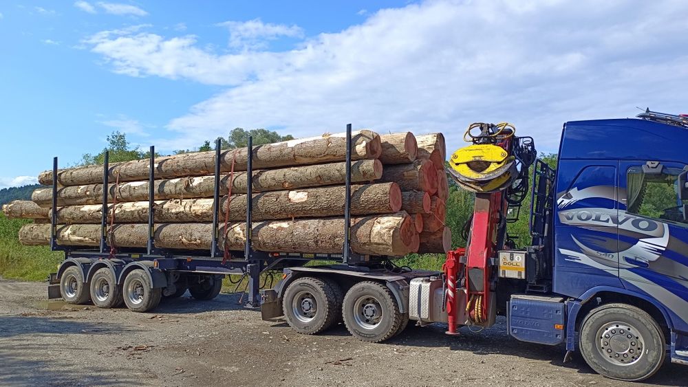 Drewno Tartaczne sosna jodła swierk