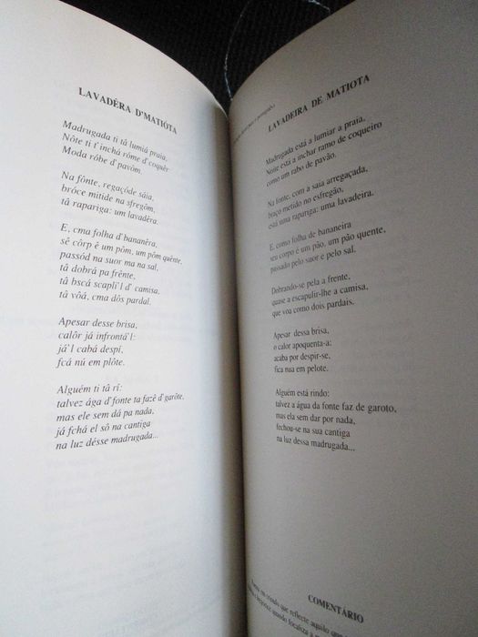 A poética de Sérgio Frusoni. Uma leitura antropológica