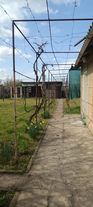 Продам будинок в селі Бритівка