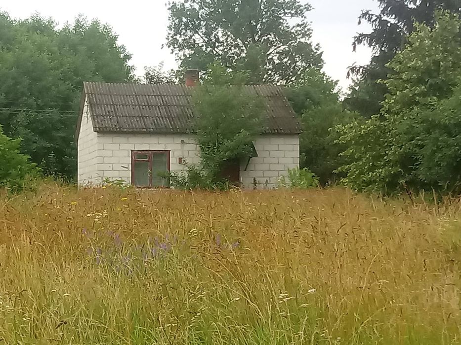 Zdjęcie 6