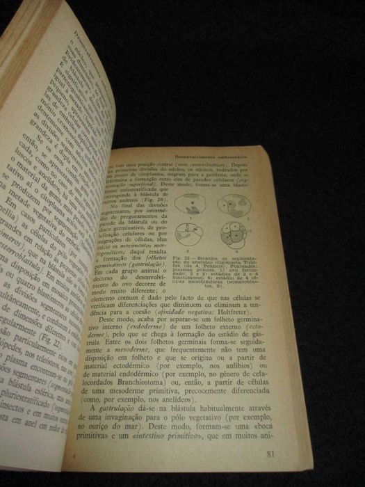 Livro Biologia 2 Zoologia Bernhard Rensch