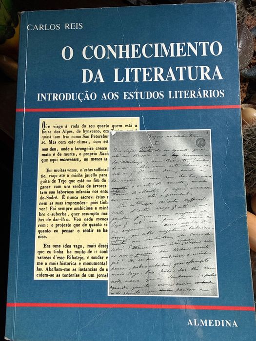 O conhecimento da Literatura