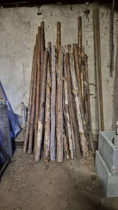 Stemple drewniane (2m-3m)  40szt