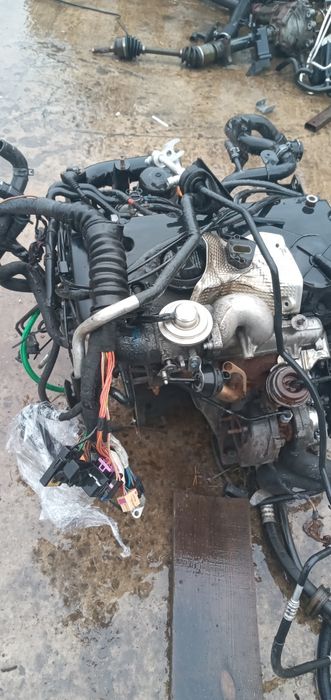 Двигун/двигатель  Volkswagen Passat B5 1.9 TDI AVB