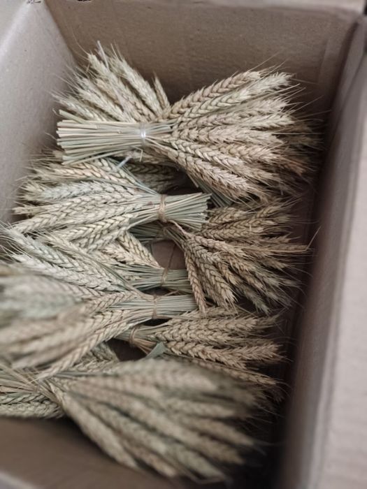 Смаколики для папуг