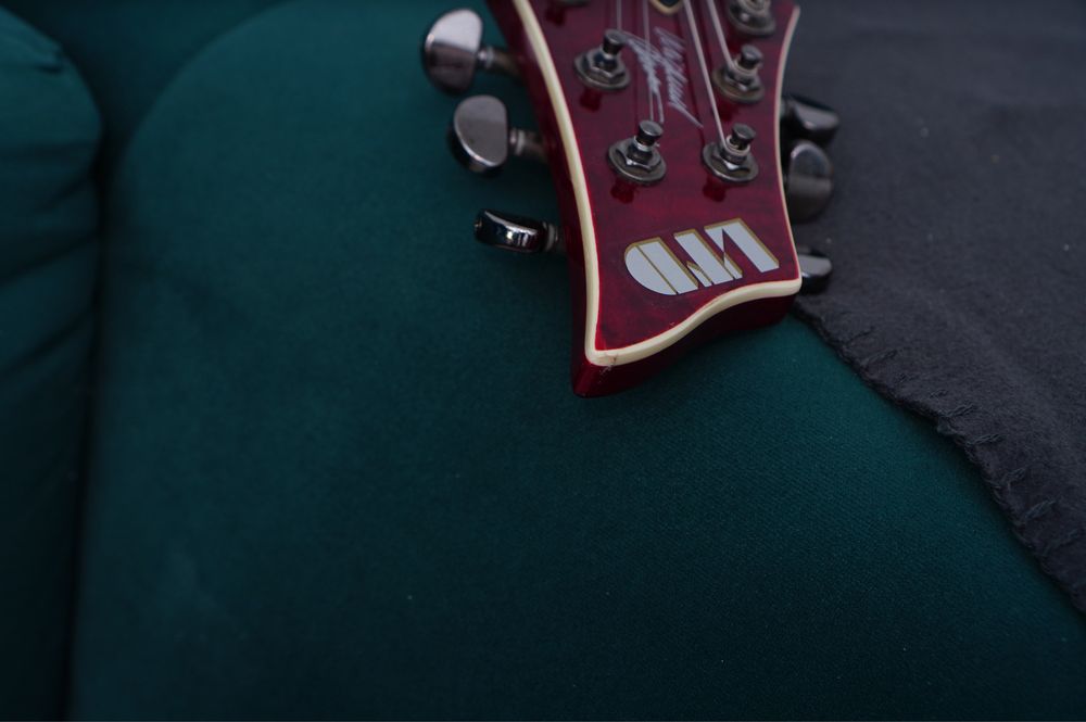 Esp ltd ninja 600 Michael Amott