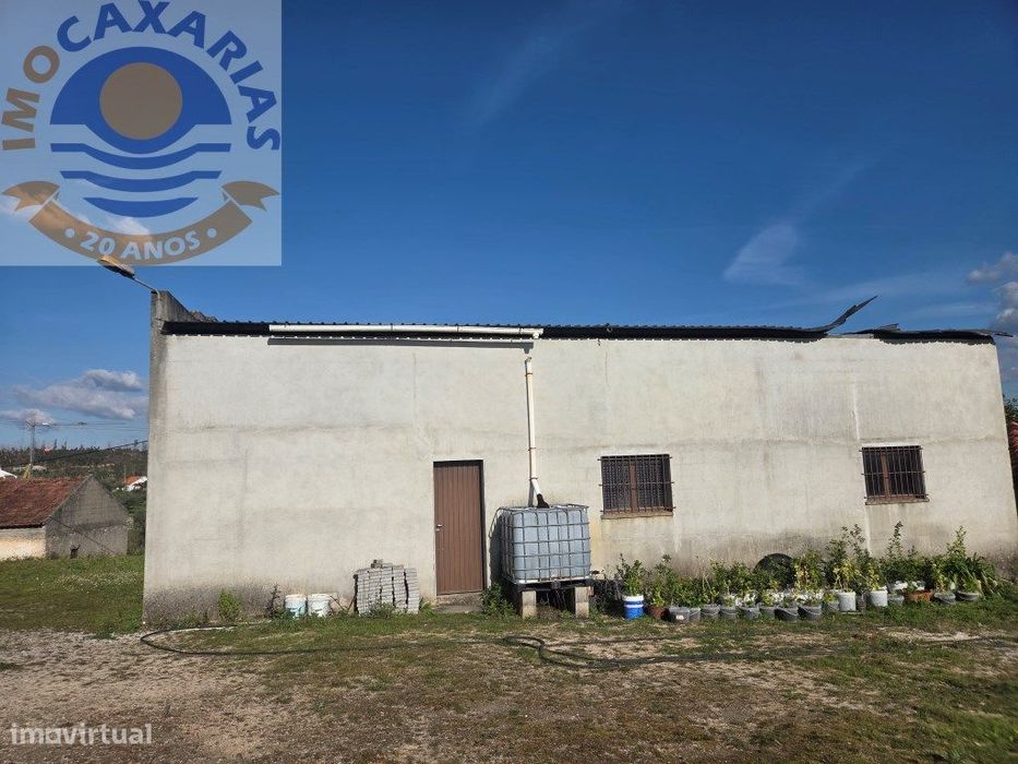 Terreno com barracão agricola