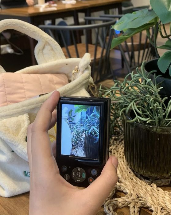 Фотоапарат Canon IXUS 177