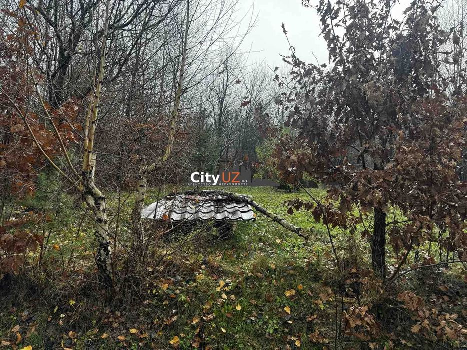 Продається ділянка у Ворочеві