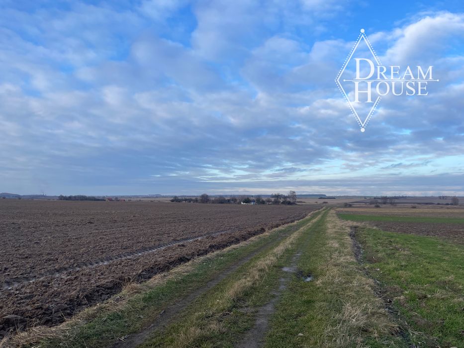 Продаж будинку і земельних ділянок