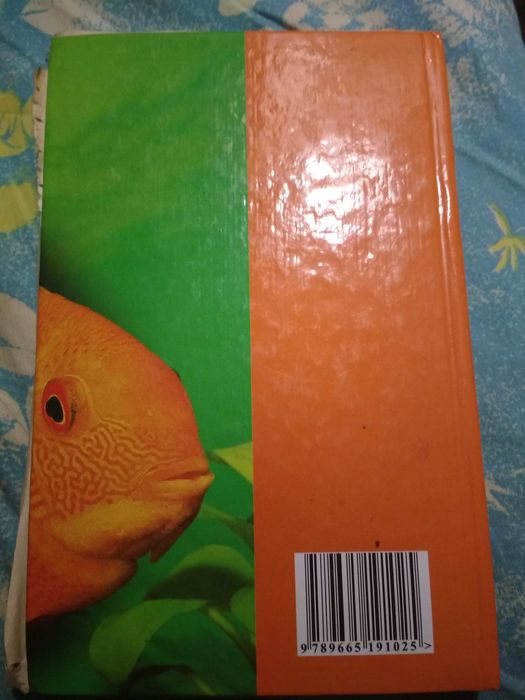 Аквариум оборудование заселение виды